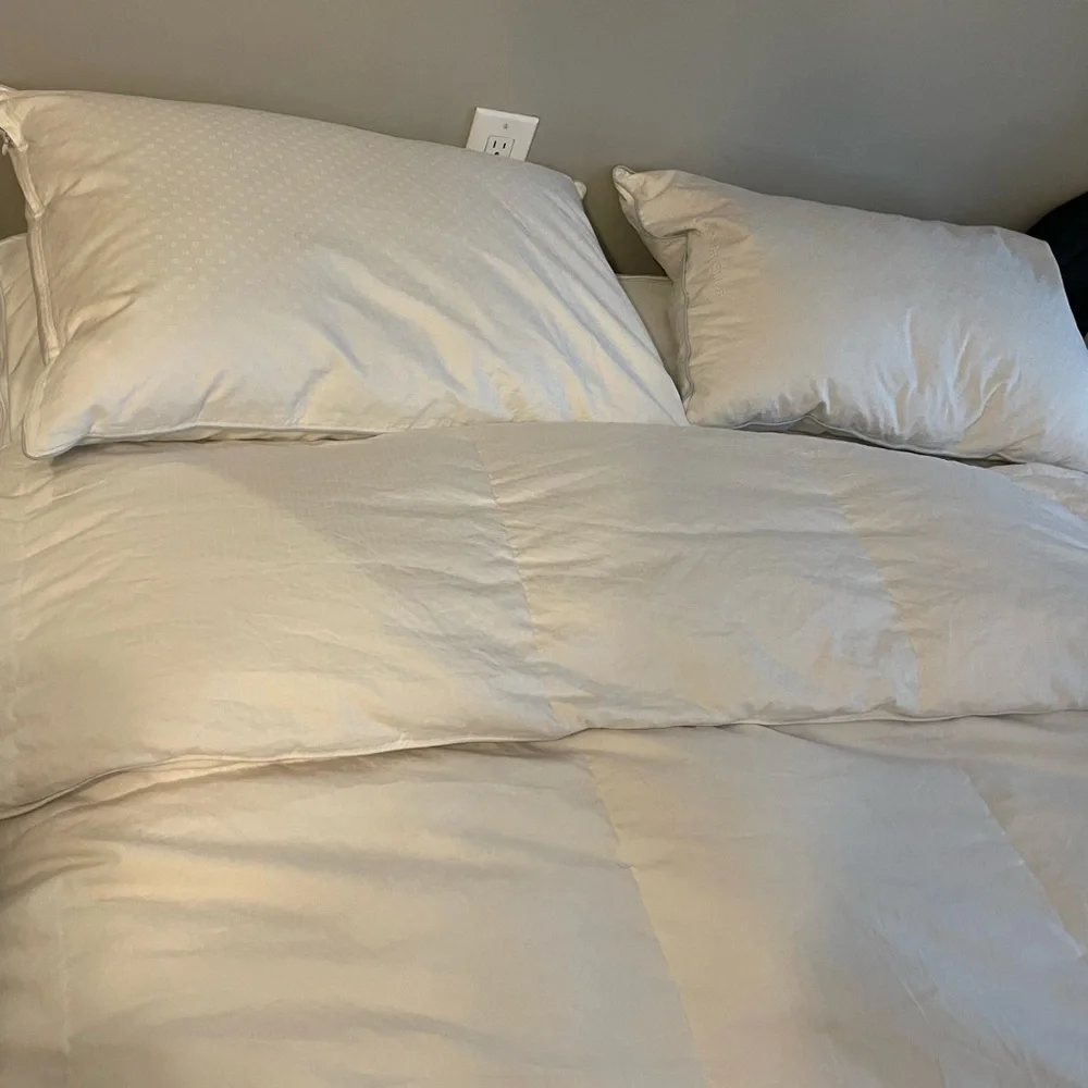 A full sized used Mattress